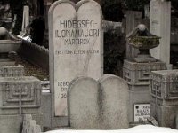 Hidegség-Ilonamajori mártírok1